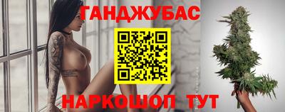 альфа пвп Заводоуковск