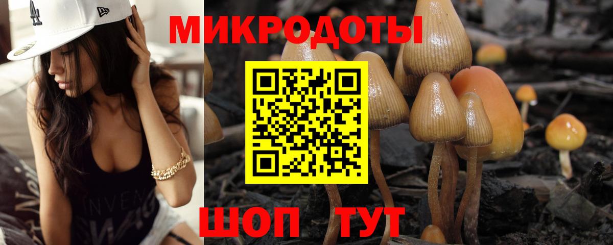 Псилоцибиновые грибы MAGIC MUSHROOMS  Галлюциногенные грибы мицелий  Вход с VPN  Хабаровск 